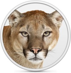Mountain Lion image